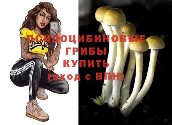 наркотики Медвежьегорск